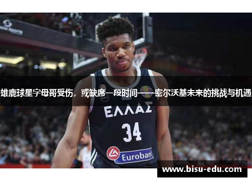 雄鹿球星字母哥受伤，或缺席一段时间——密尔沃基未来的挑战与机遇